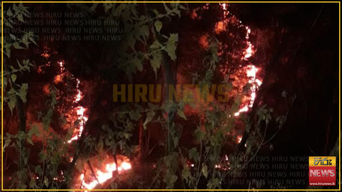 සීතාඑළිය රක්ෂිතයට ගිනි තැබූ පුද්ගලයාට ලක්ෂ 4කට වැඩි දඩයක්
