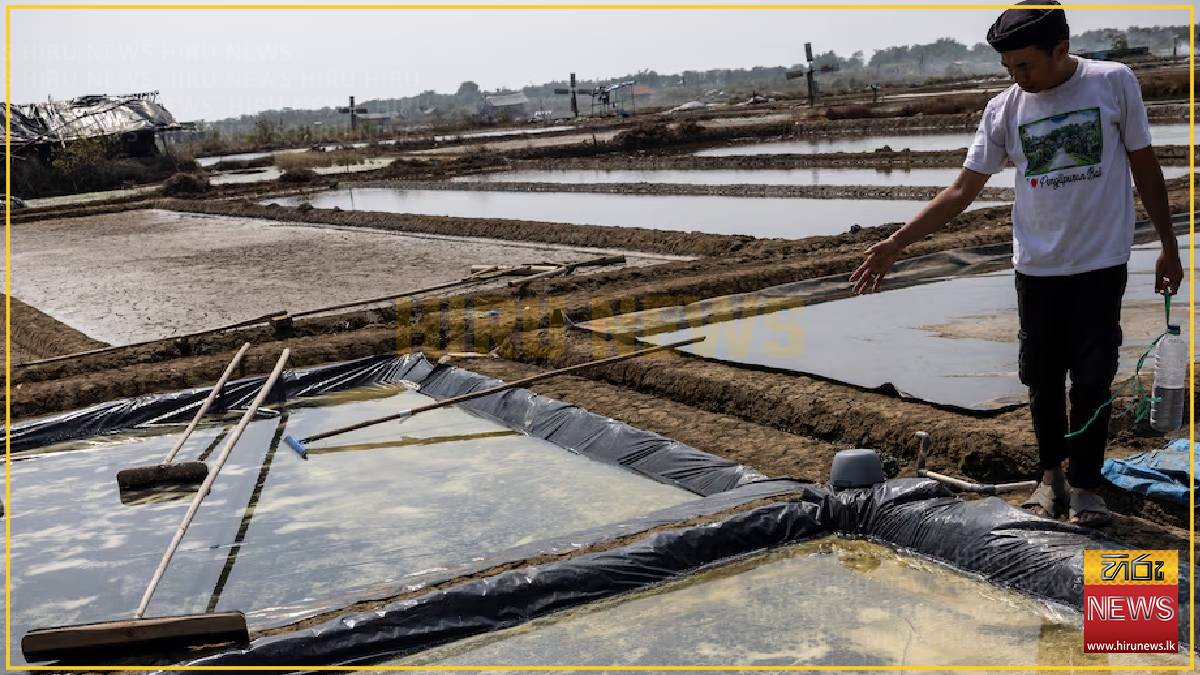 Indonesia’s salt fields bloom under drought from El Niño’s baking heat