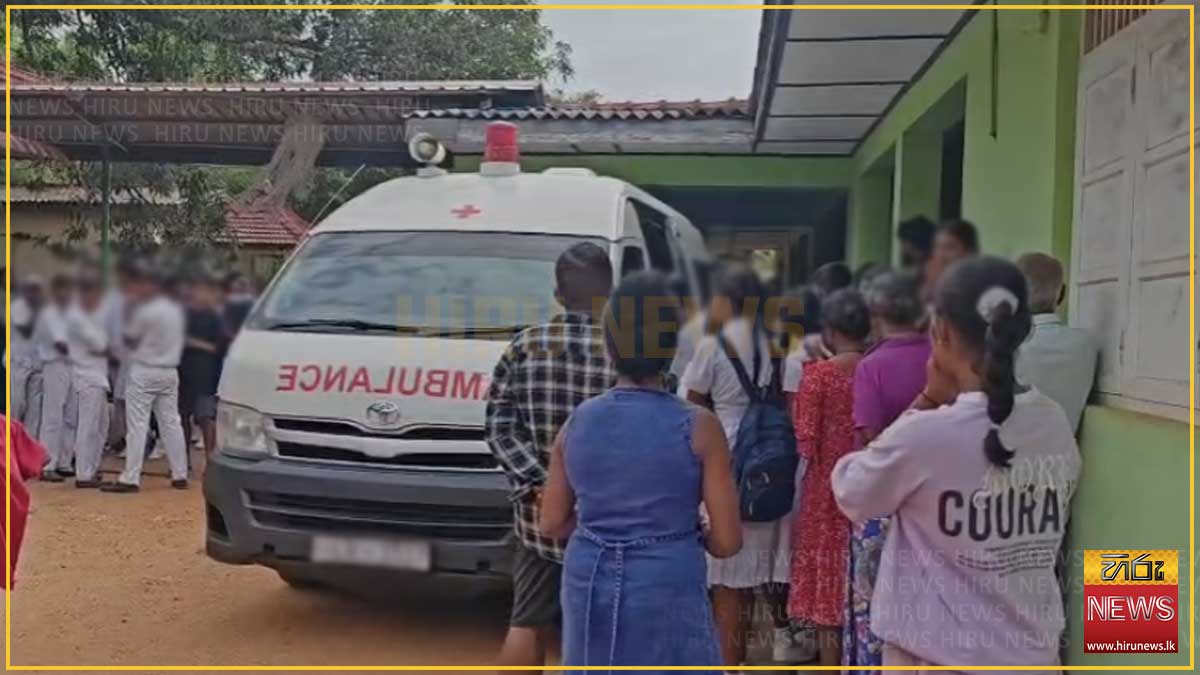 ත්‍රිකුණාමලයේදී බඹර ප්‍රහාරයකට ලක්වූ පාසල් සිසුන් 30ක් රෝහල් ගත කෙරේ
