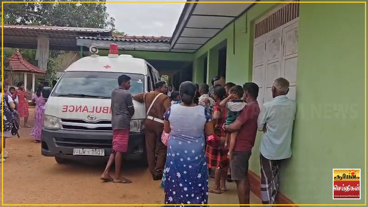 திருகோணமலையில் குளவிக் கொட்டு: 30 மாணவர்கள் மருத்துவமனையில் அனுமதி