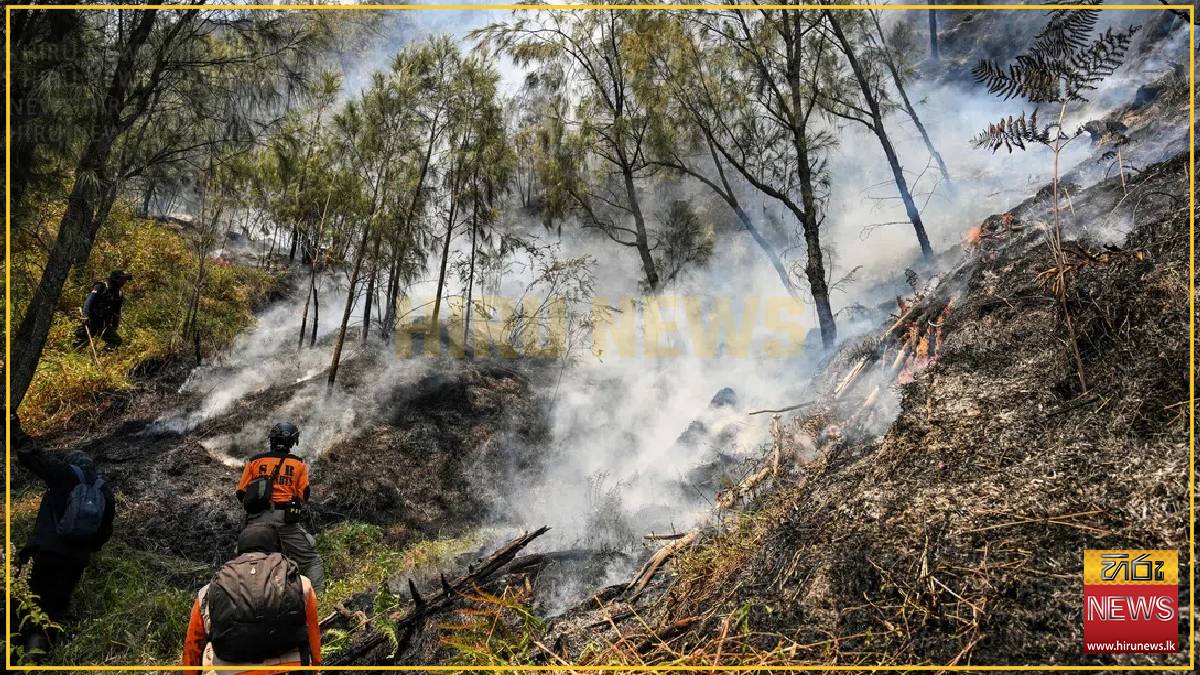 Fire destroys at least 60ha at Indonesia’s Mount Bromo park