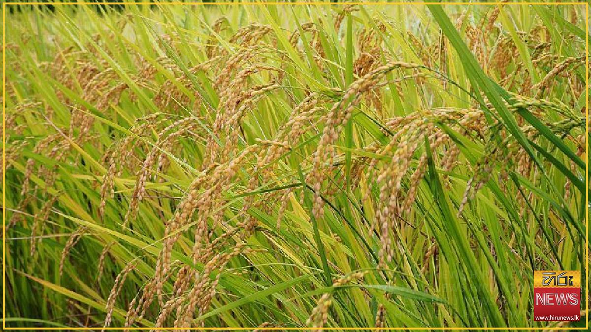 Japan's food self-sufficiency touches record low level