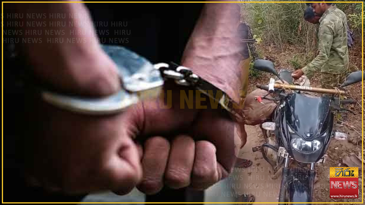 වසර 7ක් වනසතුන් දඩයම් කළ ජාවාරම්කරුවෙක් අත්අඩංගුවට