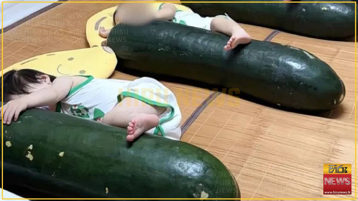 Winter melon cooling hack goes viral in China but experts warn to be careful