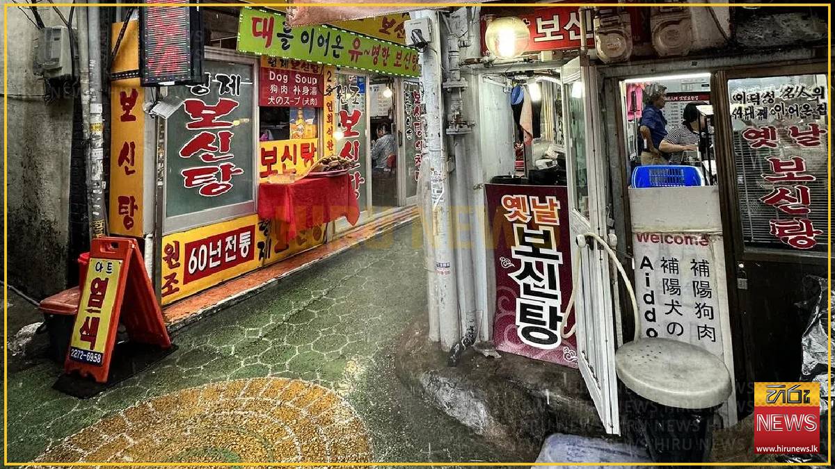 South Korea’s dog meat restaurants face their final ‘dog days’