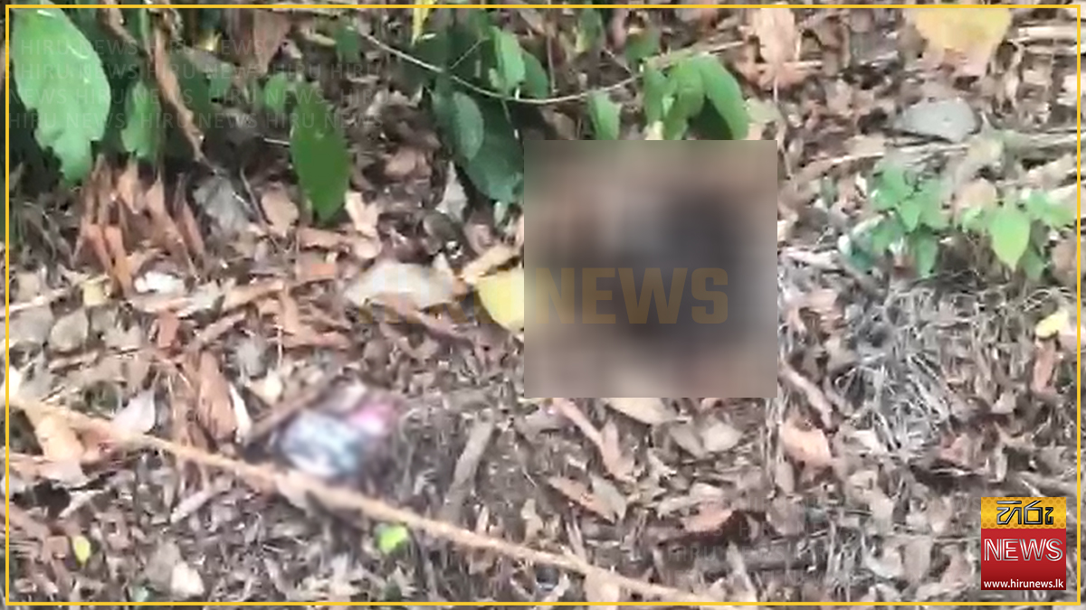 කඳ නැති මිනිස් හිසක් වැල්ලවායෙන් හමුවෙයි