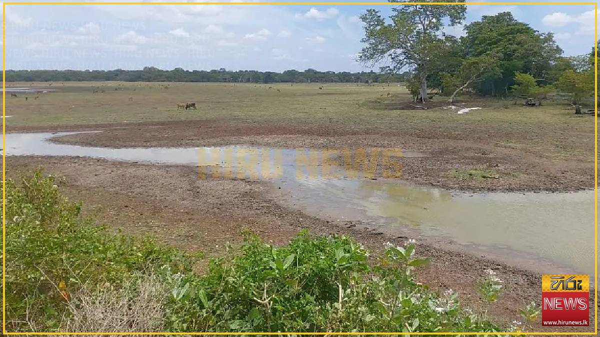 Emergency water supplied to wildlife