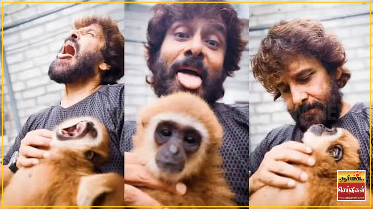 விக்ரம் வெளியிட்ட காணொளியால் பரபரப்பு – அரிய குரங்கு தொடர்பில் எழுந்துள்ள கேள்விகள்!
