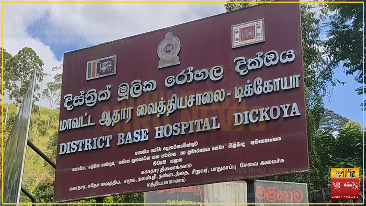 බඹර ප්‍රහාරයකින් කතුන් 12ක් රෝහලට