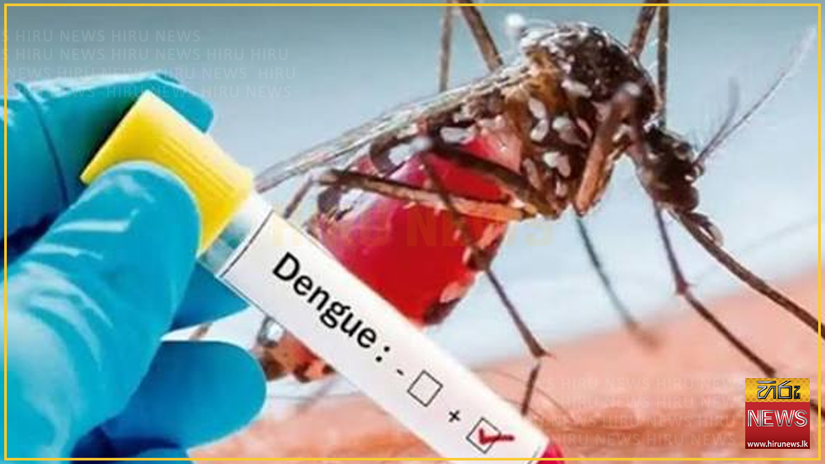 දෛනික ඩෙංගු රෝගීන්ගේ අඩුවීමක්