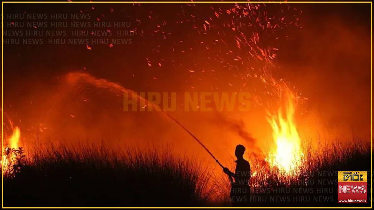 Indonesia haze spreads across region as firefighters battle wildfires