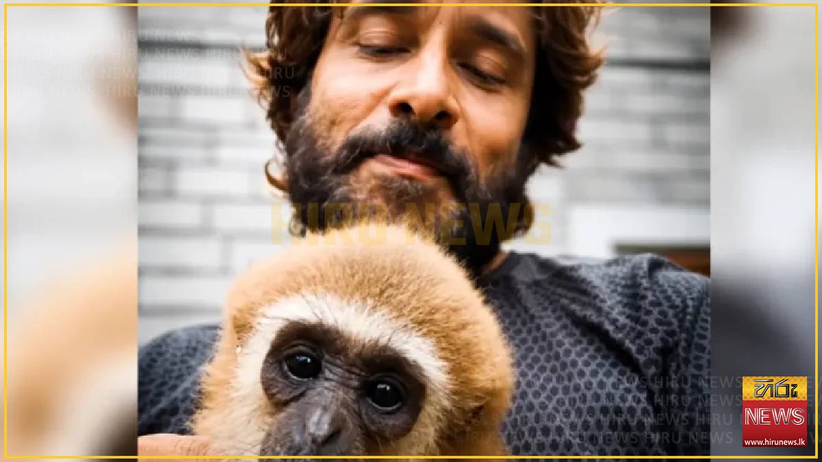 Indian actor's video with endangered gibbon sparks investigation