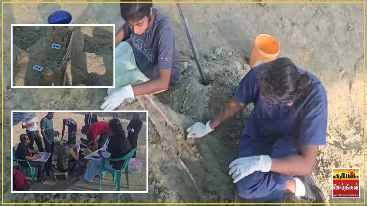 செம்மணி புதைகுழியில் தொடரும் அதிர்ச்சி: 4 சிறார்கள் உட்பட 10 மனித என்புக்கூடுகள் அகழ்வு!