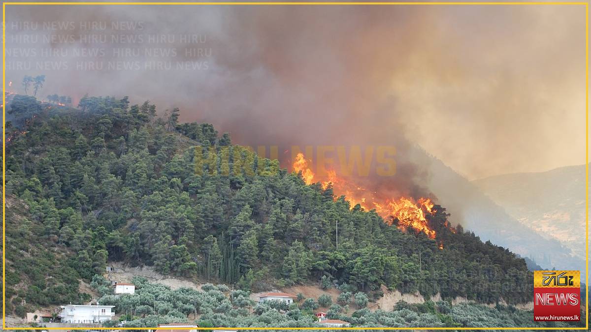 Tourists flee as Greek wildfire descends on resort village