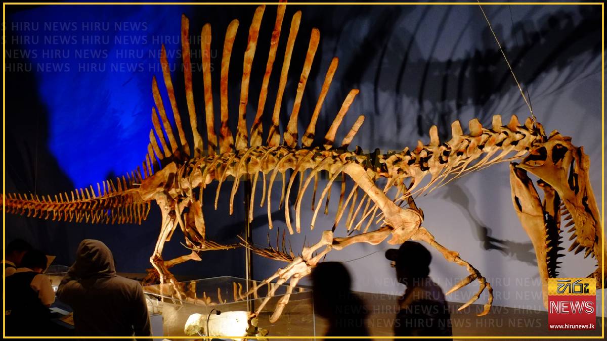 From WWII ruins to new discoveries: rebuilding Egypt’s lost dinosaurs