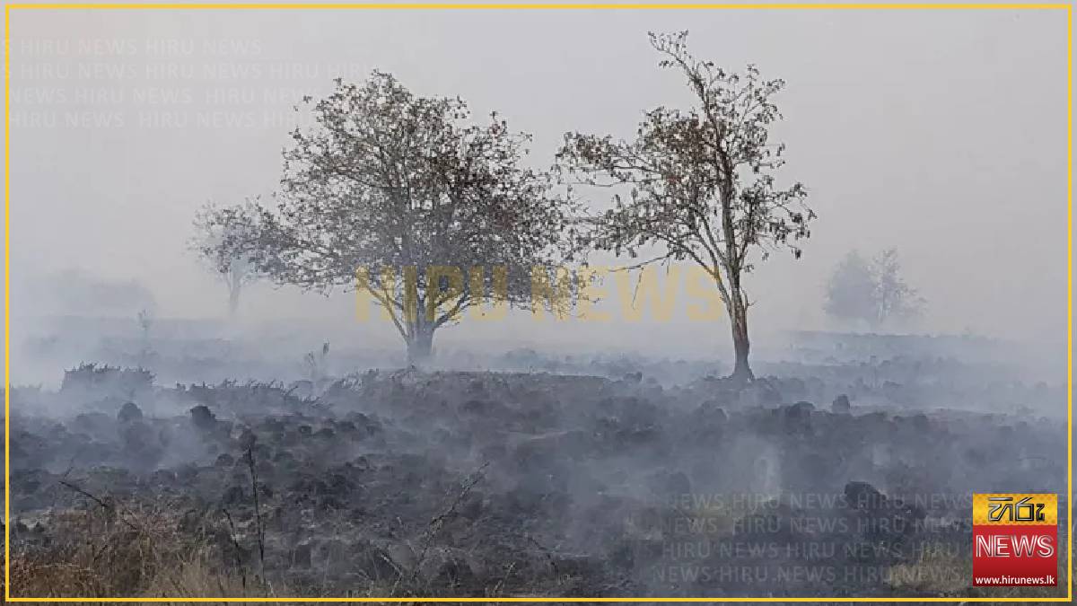 Firefighters battle wildfire tearing through Belgian nature reserve