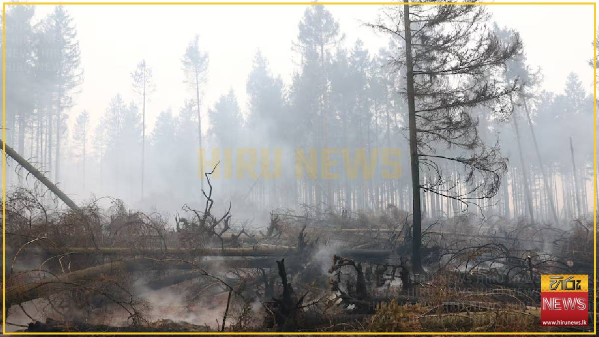 Belgium's biggest wildfire on record heads towards Germany