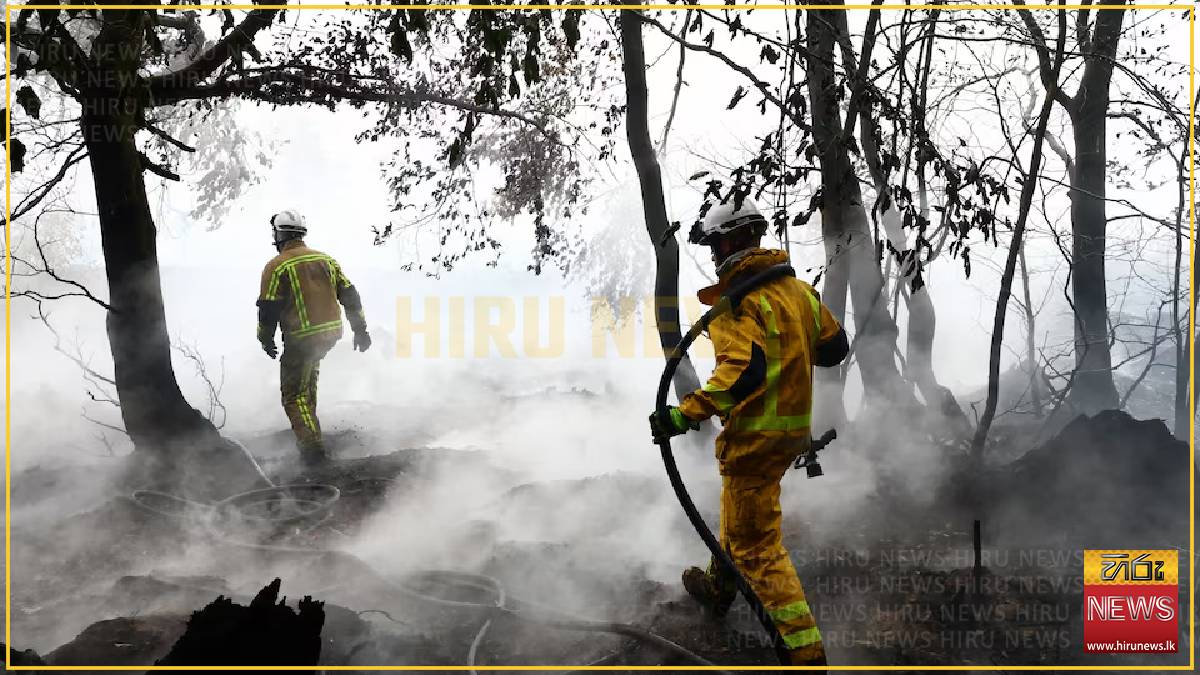 Rain helps firefighters battle Belgium’s biggest wildfire
