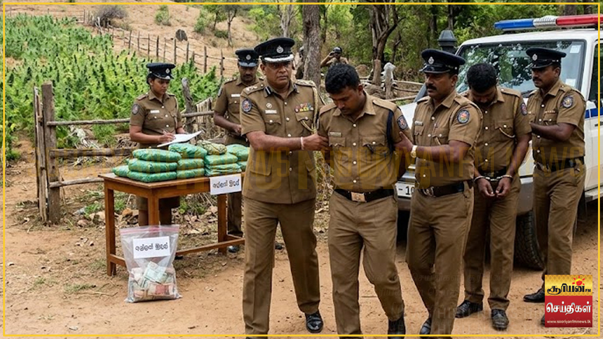 கஞ்சாவை பறிமுதல் செய்து உலர்த்தக் கொடுத்த காவல்துறை: நீதிமன்ற உத்தரவின் கீழ் அதிரடி கைது நடவடிக்கை!
