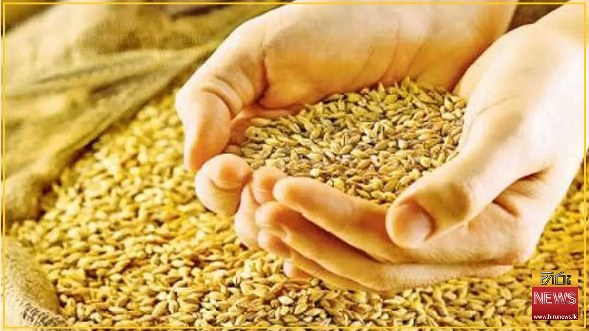 2026 යල කන්නයේ වී මිලදී ගැනීමට සුළු හා මධ්‍ය පරිමාණ වී මෝල් හිමියන්ට පොලී රහිත සහන ණය