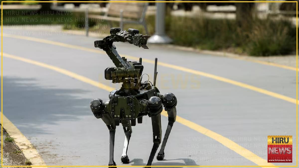 How US military funding propelled China’s robot dogs