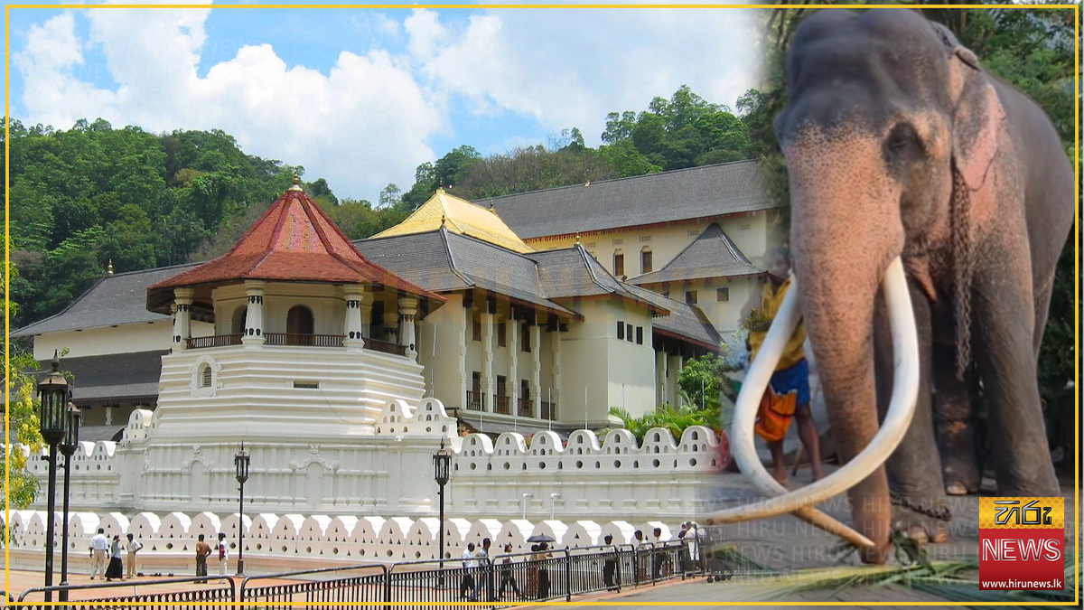 විසිපස් වසක් පේවී දළදා කරඬුව වඩම්මවන "ජනරාජා"