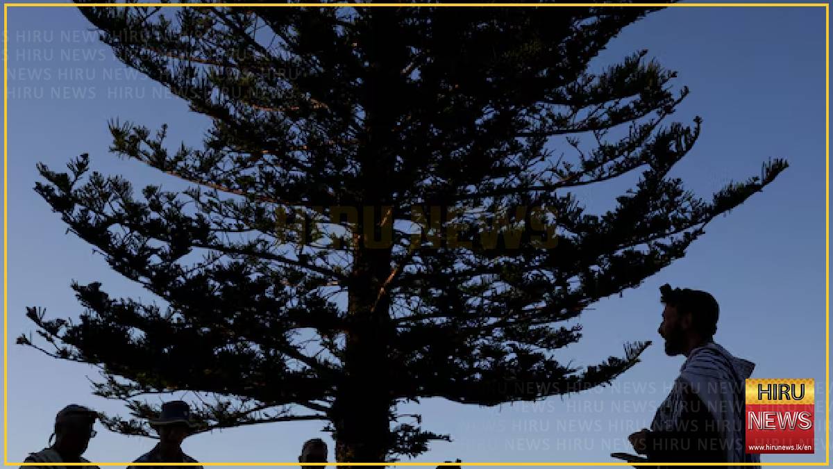 Canberra joins Australia’s gun buyback after Bondi attack