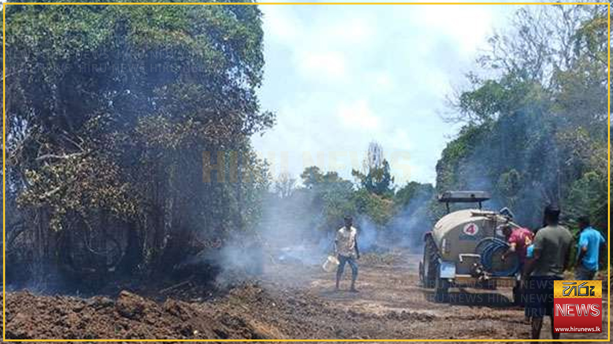 මයියාව රක්ෂිතයේ හටගත් ගින්න පාලනය කෙරේ