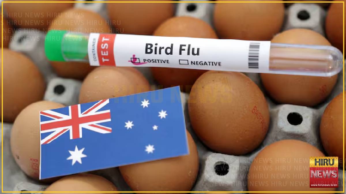 Australia confirms first H5N1 bird flu case in local mammal