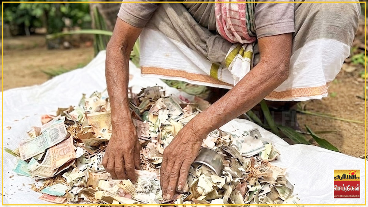 8 வருட இரகசிய சேமிப்பு - ஒரே இரவில் எலியால் நேர்ந்த விபரீதம்