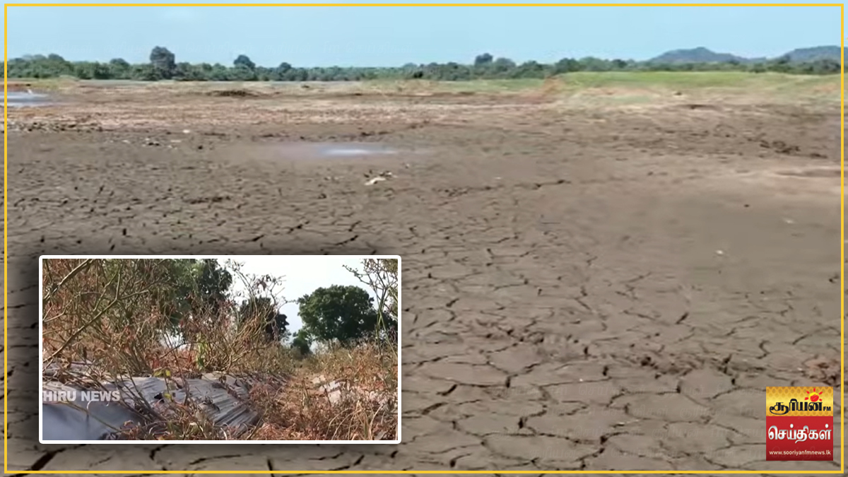 நாடு முழுவதும் வறட்சி உக்கிரம்: விவசாயம் பாதிப்பு - 72,000க்கும் மேற்பட்டோருக்குப் குடிநீர் விநியோகம்!