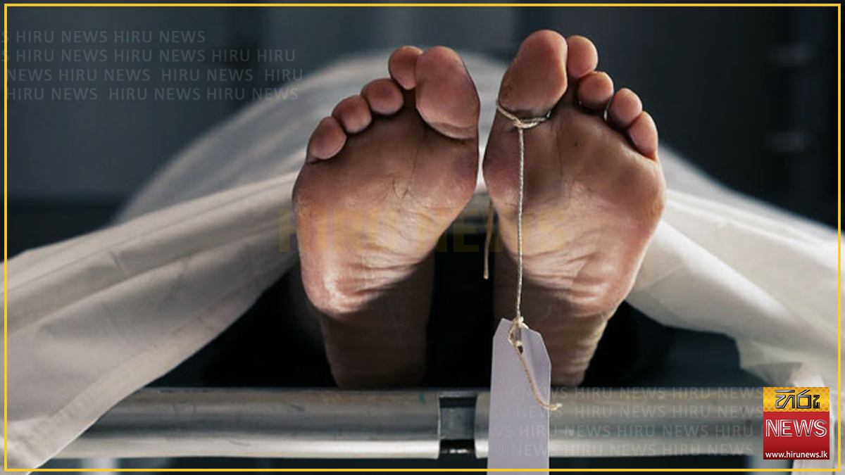 පොල්ගසක් කපමින් සිටියදී එය ඇඟට වැටී පදවියේ පුද්ගලයෙක් මරුට