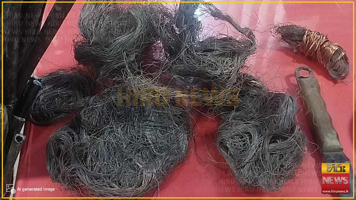 නුවරඑළියේ දුරකථන රැහැන් තඹ කම්බි සොරකම් කළ දෙදෙනෙක් අත්අඩංගුවට: අගෝස්තු 31 දක්වා ‍රිමාන්ඩ්