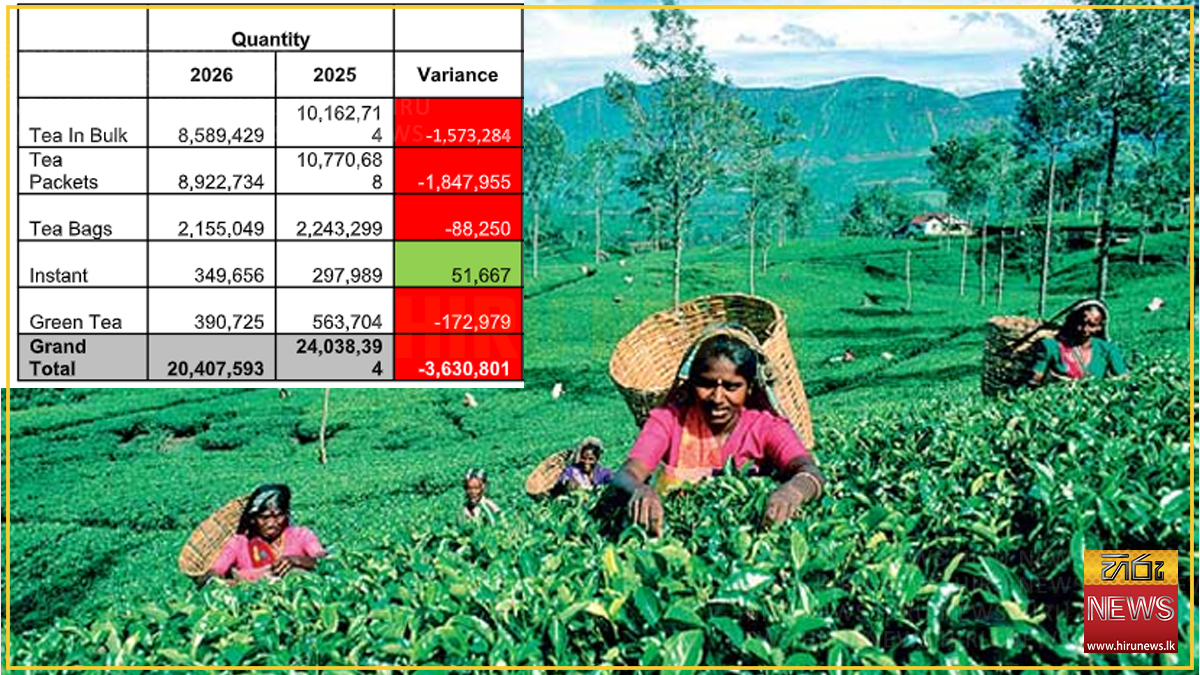 Sri Lanka tea exports decline in July