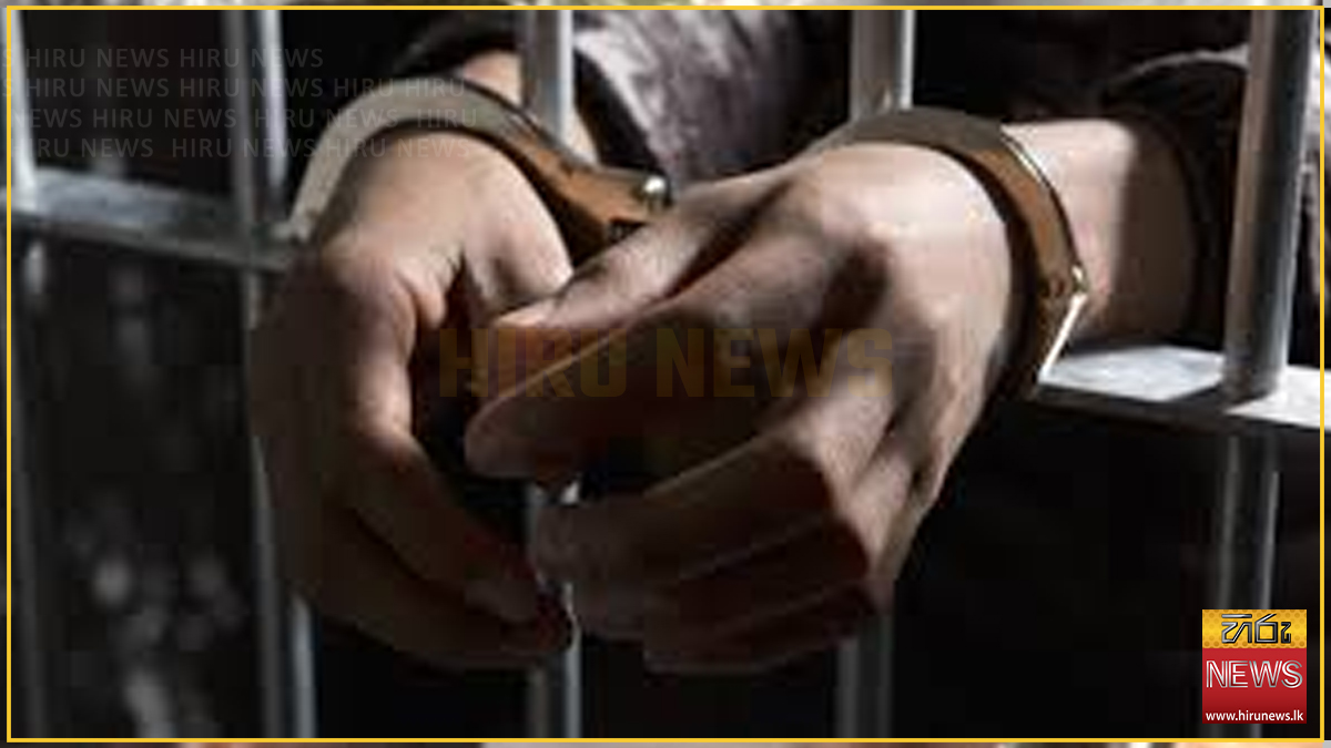 පුත්තලමට ලංගම බස් රියේ කිරි ඉබ්බන් රැගෙන ගිය අයෙක් දැලේ