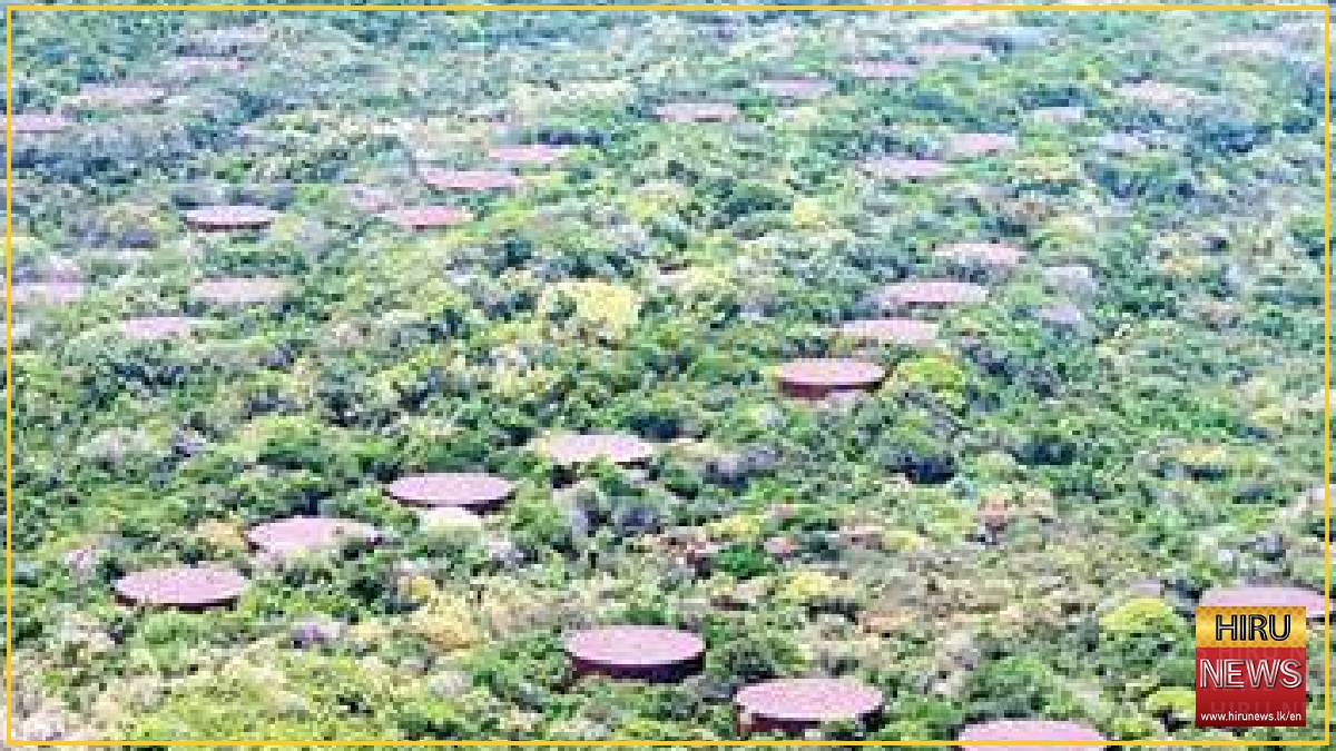 29 Trincomalee oil tanks to be leased to investors