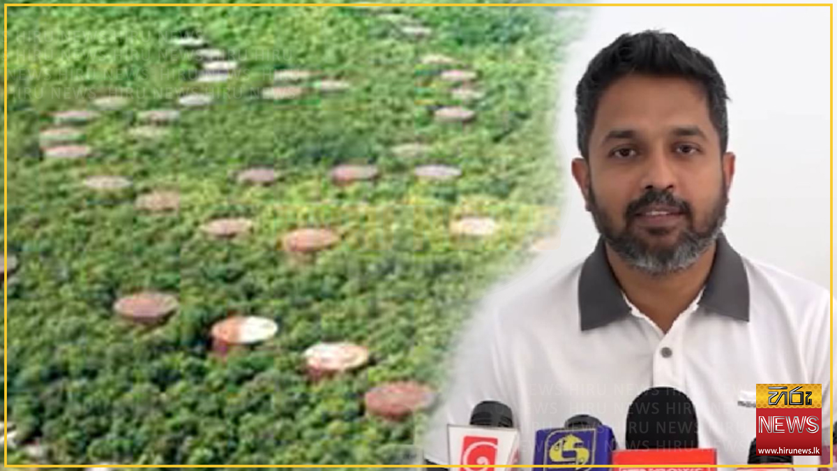 ත්‍රිකුණාමලයේ තෙල් ටැංකි 29ක් දිගු කාලීන බදු පදනම මත ආයෝජකයින්ට ලබා දීමට ටෙන්ඩර් කැඳවයි