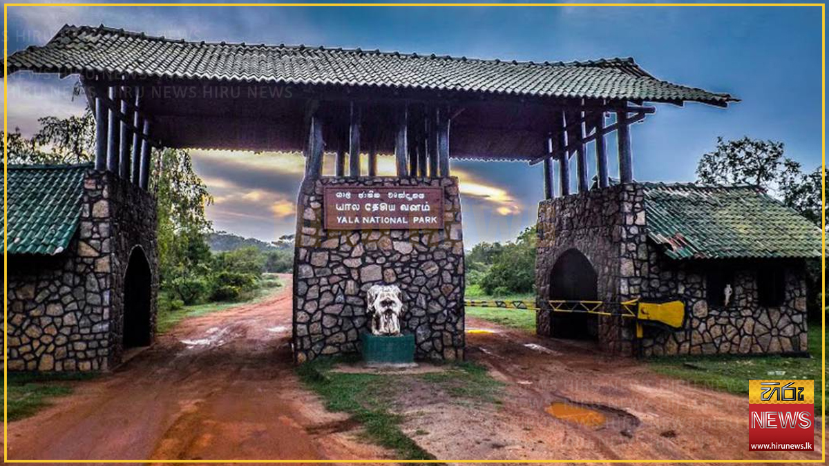 යාලේ කලාප දෙකක් තාවකාලිකව වැසේ