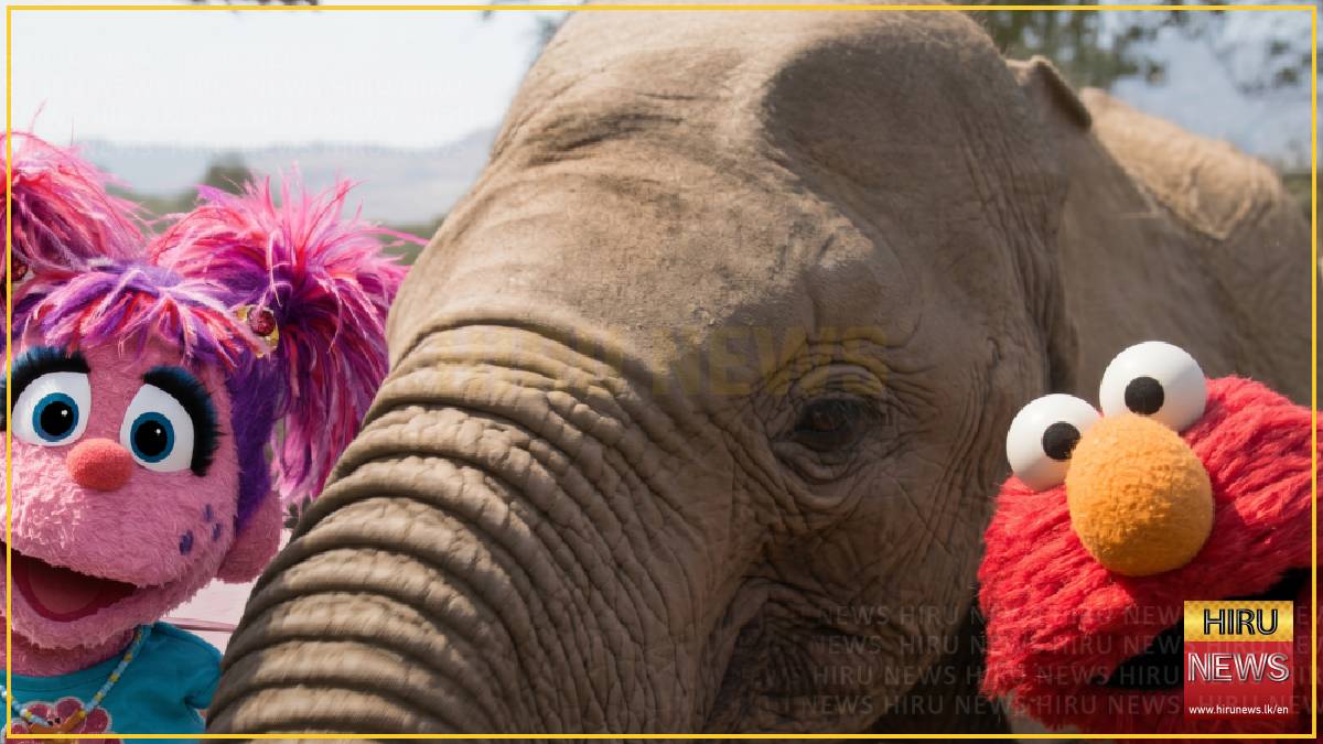 Elmo heads to Kenya in ‘Sesame Street’ and ‘Nature’ crossover
