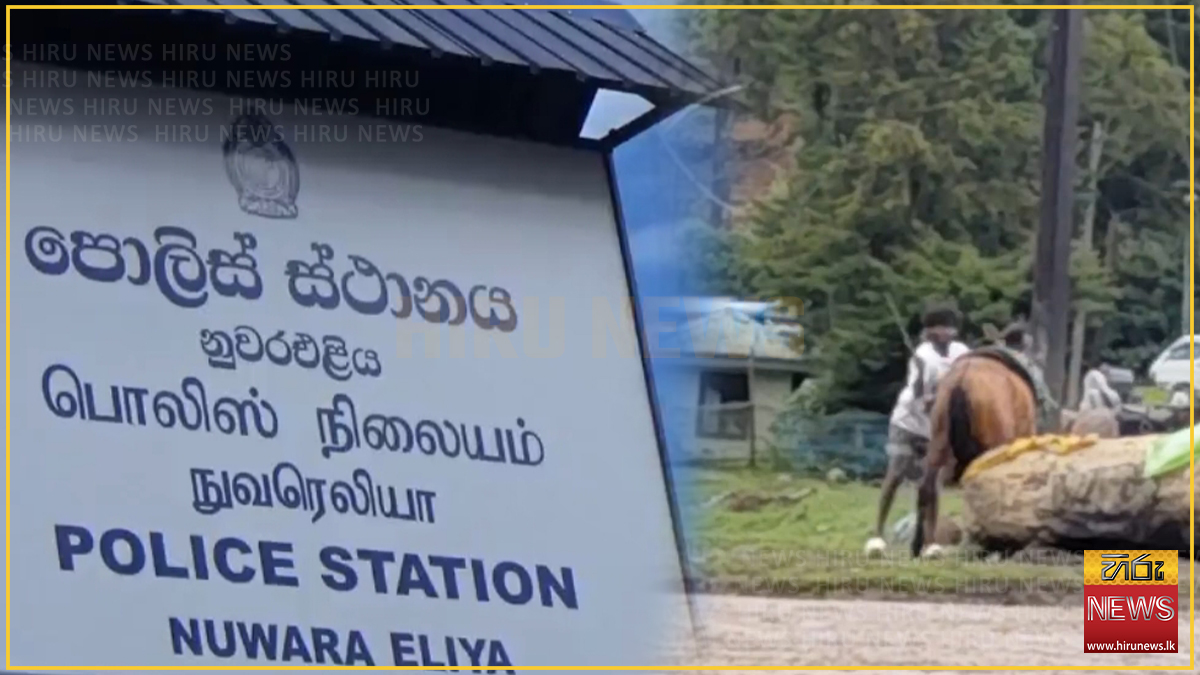 නුවරඑළියේ දී පෝනියෙකුට පහරදුන් තරුණයා අත්අඩංගුවට