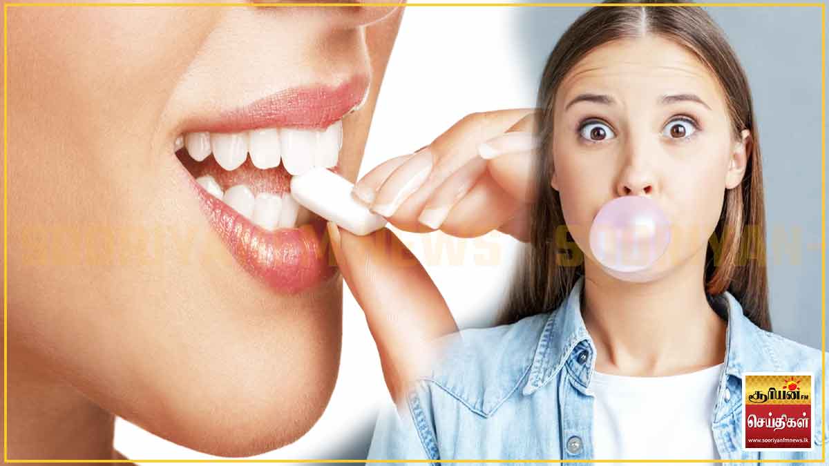 சூயிங்கம் பிரியரா நீங்கள் ? சைலிட்டால் இனிப்பூட்டி ஆபத்தானது தெரியுமா? இதயத்தைப் பதம் பார்க்கும் அதிர்ச்சித் தகவல்!