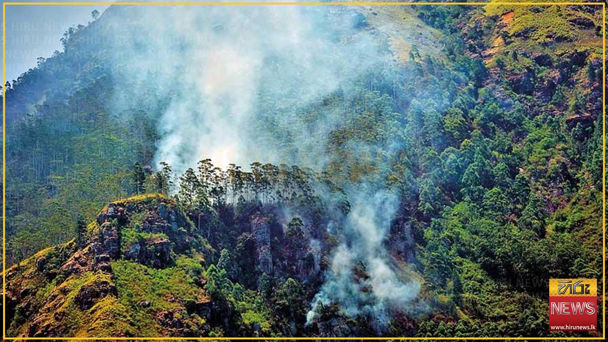 ඔහිය වනාන්තර කලාපයේ ගින්නක්: පාලනය කිරීමට ගුවන් හමුදාවත් කැඳවයි