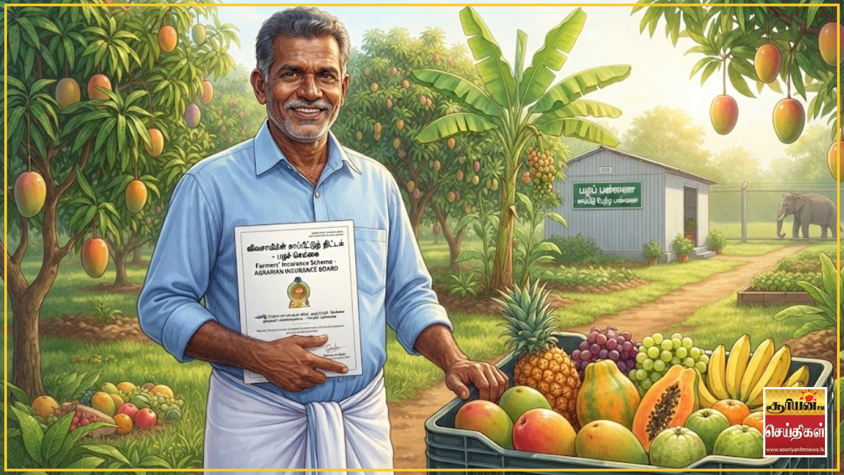 பழச் செய்கையாளர்களுக்கு புதிய காப்பீட்டுத் திட்டம் அறிமுகம்