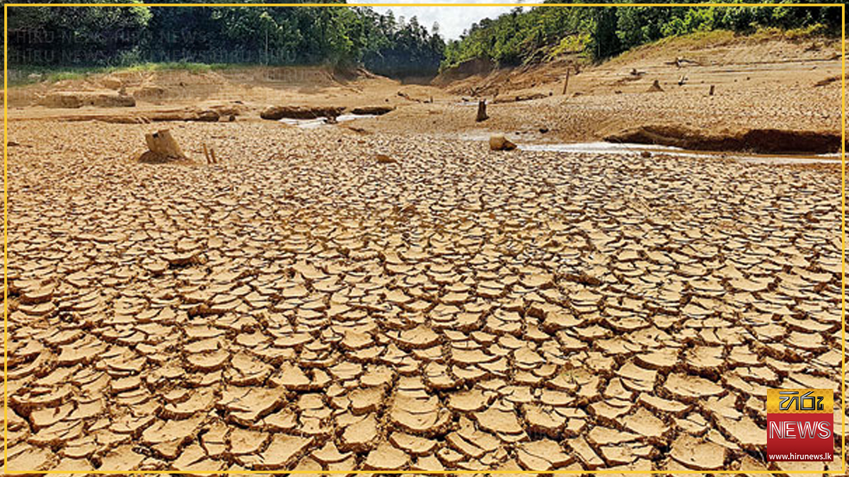 නියඟයෙන් විපතට පත් වගාවන්ට කඩිනමින් කෘෂි රක්ෂණ වන්දි ගෙවීමට මිලියන 3,000 ක්