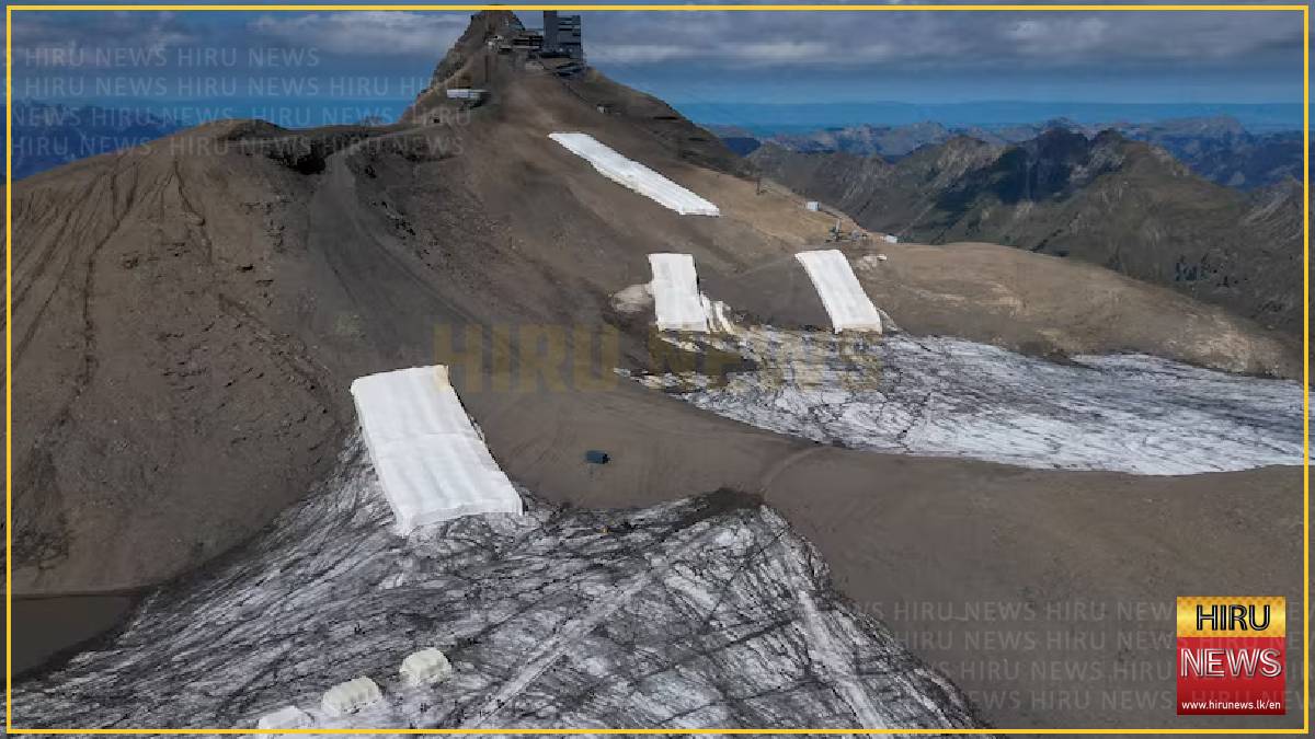 Can sheep wool help save the glaciers?