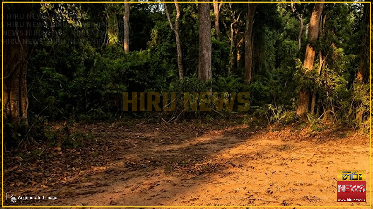 සුංගාවිල කැලෑවේ දෙදිනක් අතුරුදන් වූ යුවතිය හමුවේ