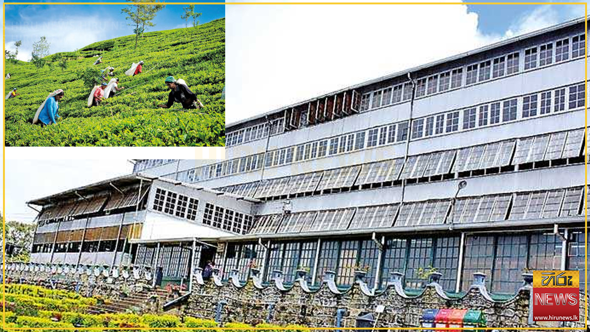 Kotagala Plantations to amalgamate with RAPC