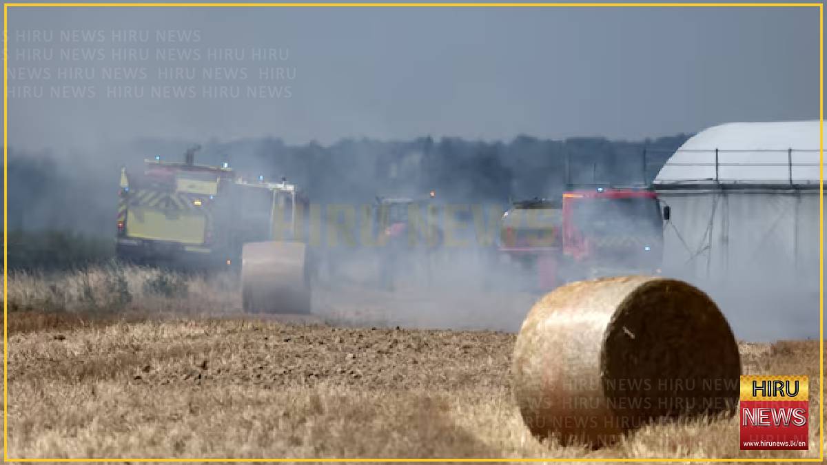 France gives farmers €1 billion to recover from record heatwaves