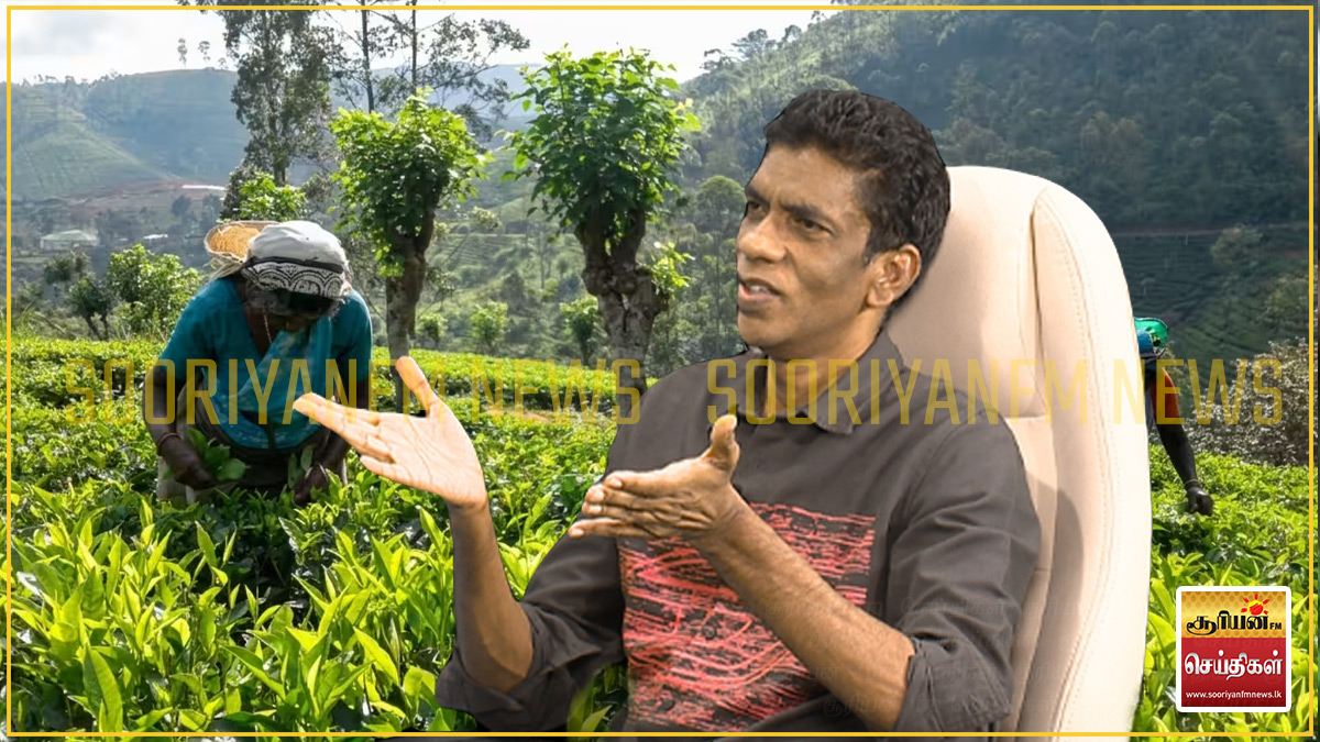 எதிர்கால திட்டங்கள் அரசாங்கத்திடம் இல்லை: தேயிலை தொழிலை பாதுகாக்க திகாம்பரம் கூறும் ஆலோசனைகள்!
