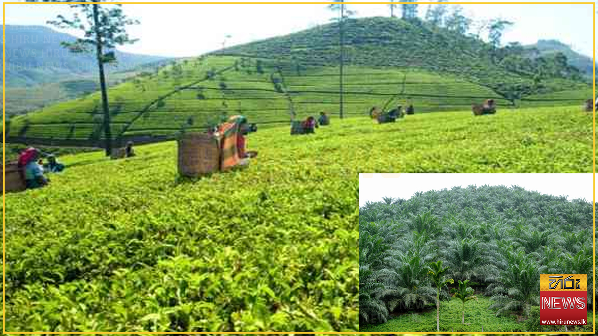 Advocata warns RPC lease renegotiation could deter FDI